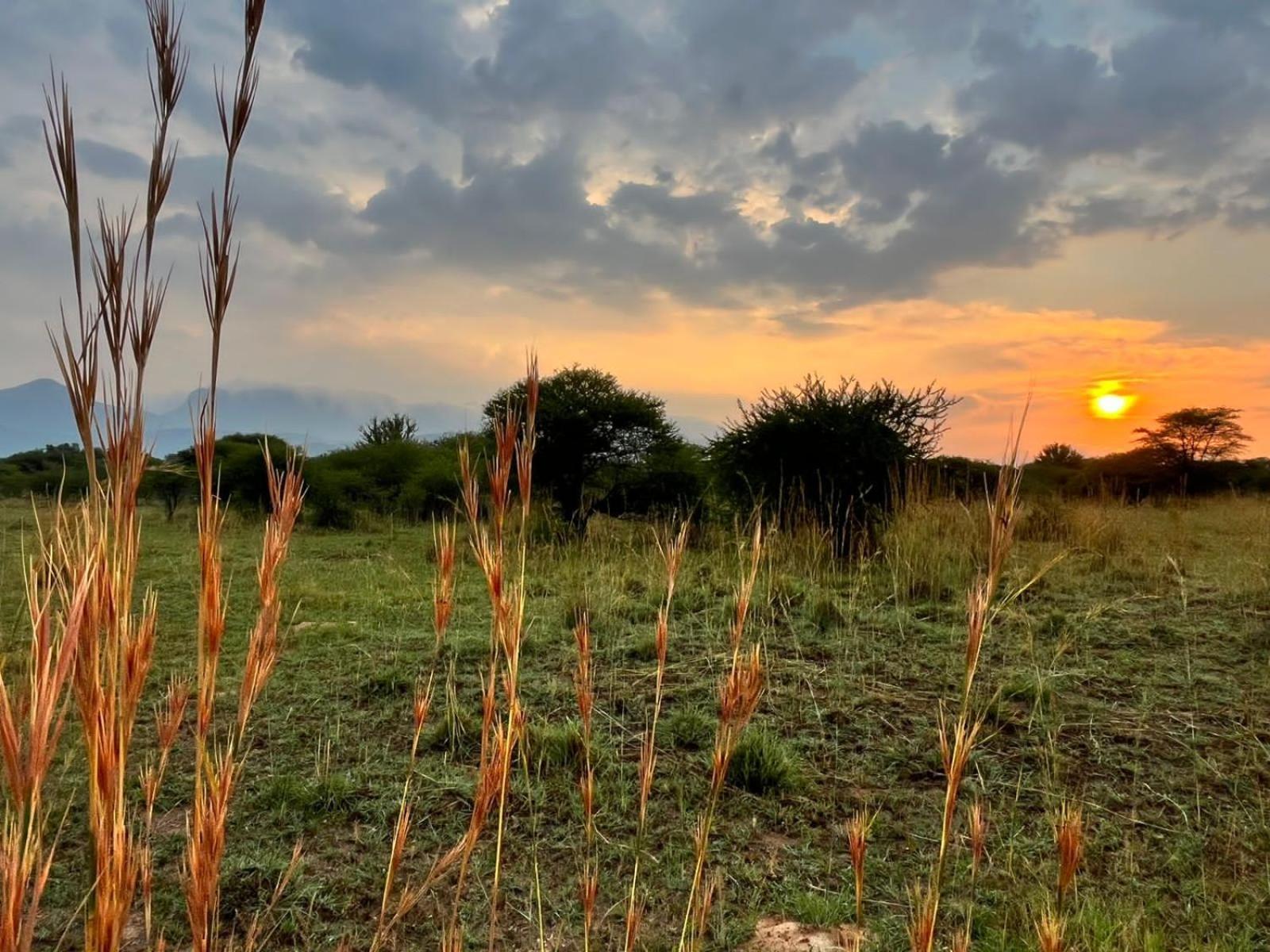 Thabazimbi Bushveld Self Catering Accommodation 外观 照片